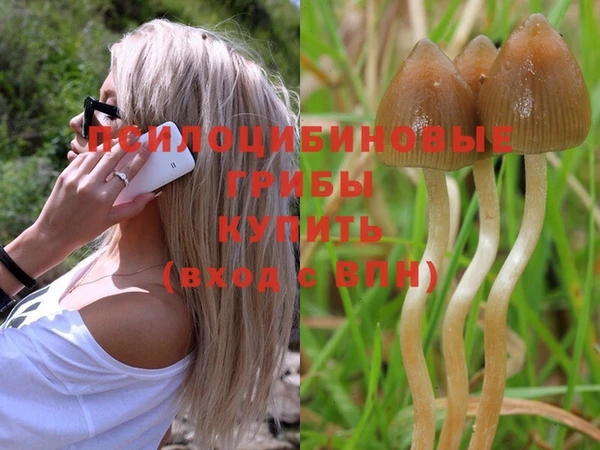 винт Алексеевка