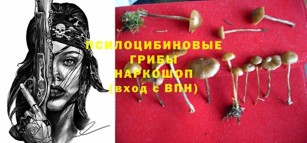 мет Алексин