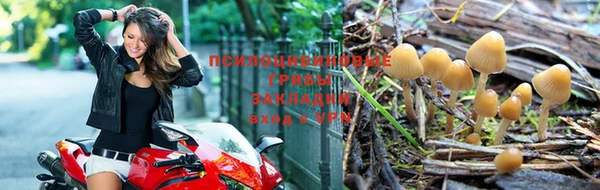 винт Алексеевка