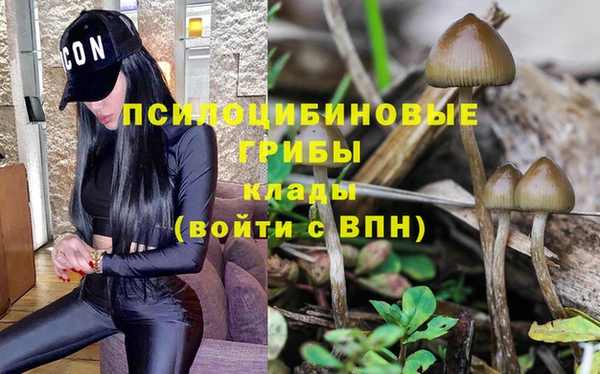 мет Алексин