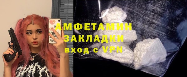 PSILOCYBIN Покачи